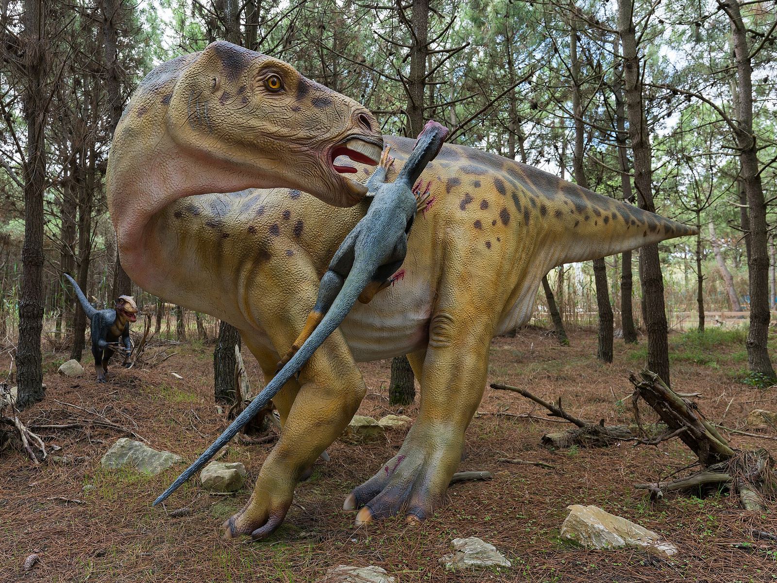 Life-size dinosaur models among the pine trees at Dino Parque